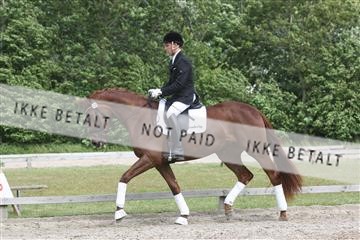135518_ms_02_IMG_2773.JPG