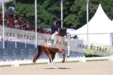 181799_BC_07_00168.JPG