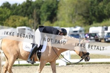 181894_mtp_05_R62_4835.JPG