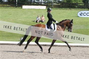 135676_sg_01_IMG_7700.JPG