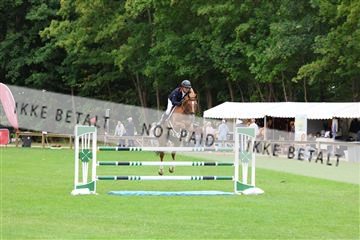 181805_mlm_01_R62_4082.JPG