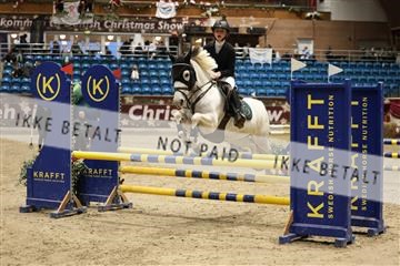 175934_avh_02_6910.JPG