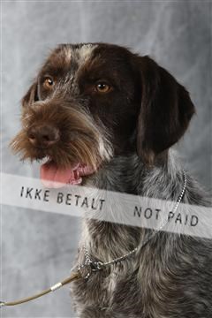 129608_le_ 02_0247.JPG