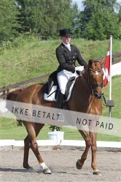 135676_sg_01_IMG_7778.JPG