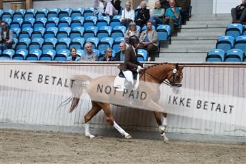 181887_mtp_01_R62_7095.JPG