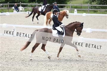 172030_mtp_01_3M5A1937.JPG