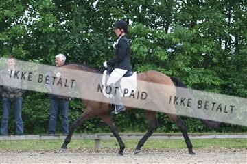 135518_ms_01_IMG_0747.JPG