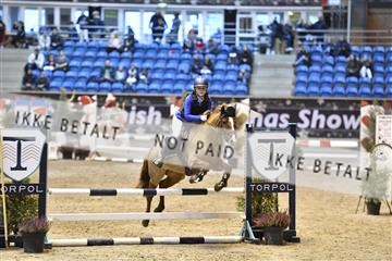 161006_abo_01__D051663.JPG