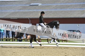 136195_abo_01__AB16267.JPG