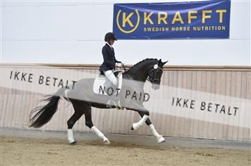 160111_nn_01__ESK1929.JPG