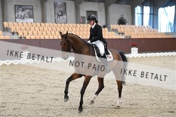 167300_abo_01_D05_2202.JPG
