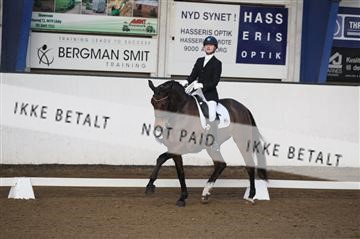 150596_nn_01_IMG_8711.JPG