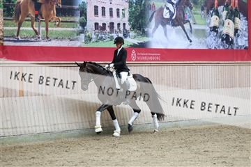 181887_mtp_04_R62_8908.JPG