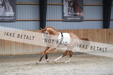 170446_abo_01_D05_0892.JPG