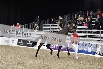 155102_abo_03__D055519.JPG