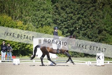 181957_jss_02__6II3530.JPG