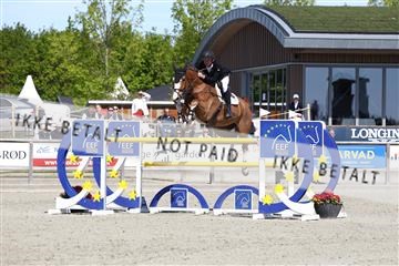 181436_avh_02_3815.JPG