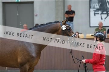 181852_mtp_02_R62_1756.JPG