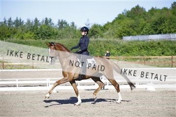 181449_kbb_01_6II8955.JPG