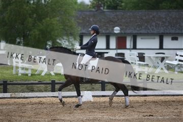 147698_nn_01_IMG_8867.JPG