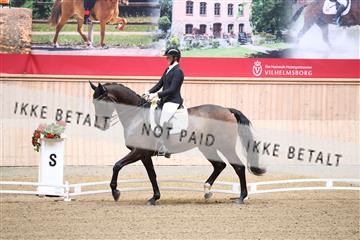 174186_kbb_01_R6II4518.JPG