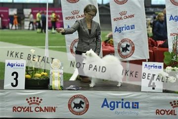 163793_bkn_01__BKN9326.JPG