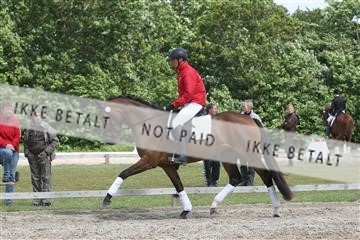 135518_ms_02_IMG_2671.JPG