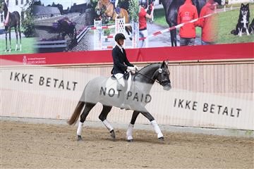 175166_kbb_01_R6II0120.JPG