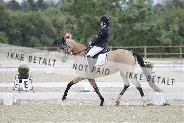 166629_rhj_01_J7R4653.JPG