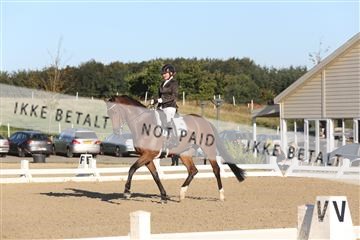 148862_sg_01_IMG_2497.JPG