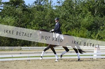 136195_abo_01__AB16044.JPG