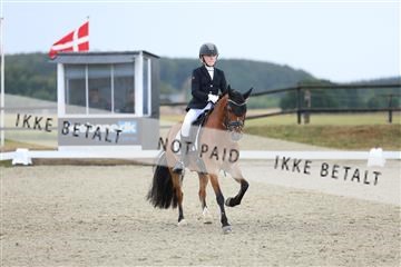 181894_mtp_05_R62_4202.JPG