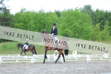 174661_kbb_01_R6II6590.JPG