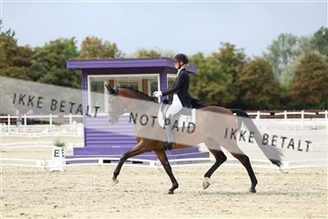 181923_mtp_03_R62_7513.JPG