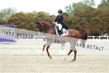 181923_mtp_04_R62_8549.JPG