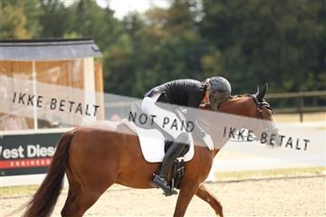 181894_mtp_02_R62_2375.JPG