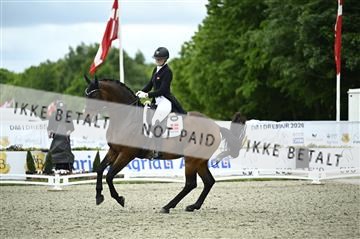 181449_kbb_03_Z090630.JPG