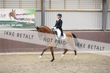 171210_mtp_01_3M5A6974.JPG
