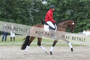 135518_ms_02_IMG_2697.JPG