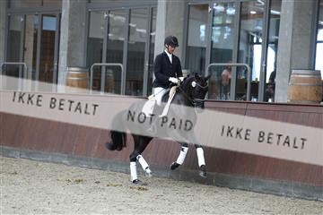 181852_mtp_04_R62_2621.JPG