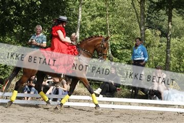5925_gn_02__MG_7957.JPG