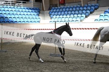 181754_kbb_01_Z093215.JPG
