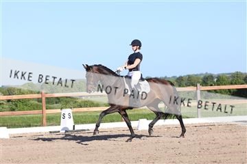 181449_bc_01R62_6295.JPG