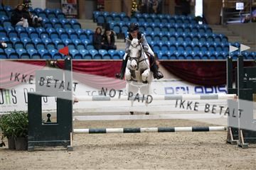 175934_avh_02_7611.JPG