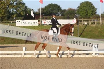 148862_sg_01_IMG_2060.JPG