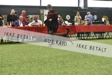 163793_bkn_01__BKN7184.JPG