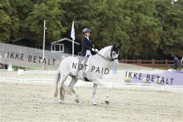 181923_mtp_04_R62_8377.JPG