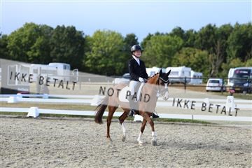 181894_mtp_05_R62_5204.JPG