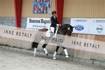 181867_mtp_02_R62_4732.JPG