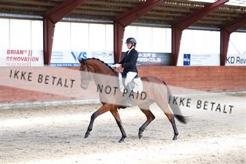 175442_kbb_01_R6II0215.JPG